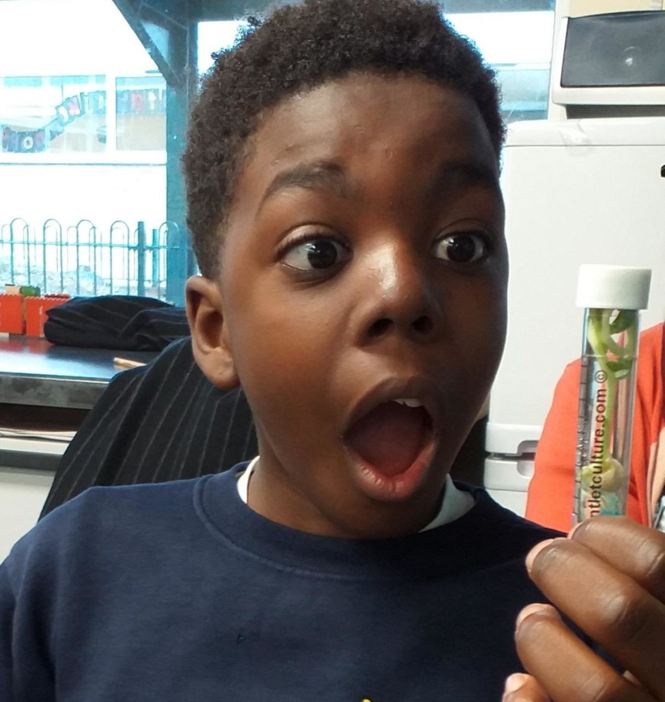 Young boy looks excitedly at science equipment